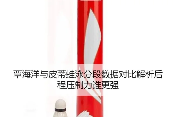 覃海洋与皮蒂蛙泳分段数据对比解析后程压制力谁更强